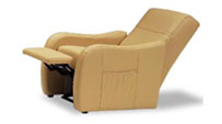Chaise Longe & Armchairs