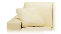 Leather Cushions