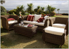 Jamica Collection