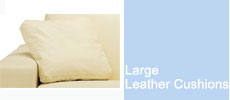 Large Leather Cushion