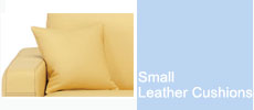 Small Leather Cushion